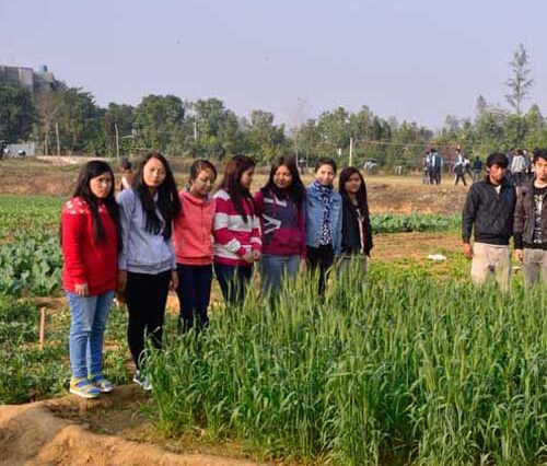 Best Msc agronomy College in Uttarakhand