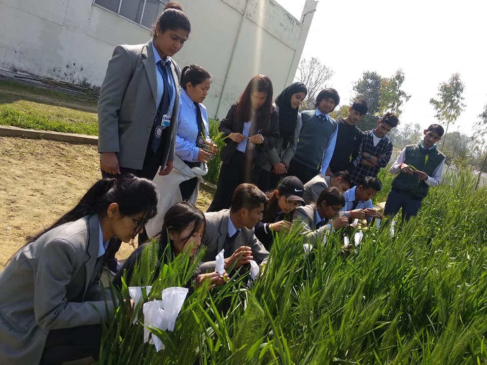 Future of Msc Agronomy in Phonics College Roorkee